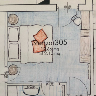 305